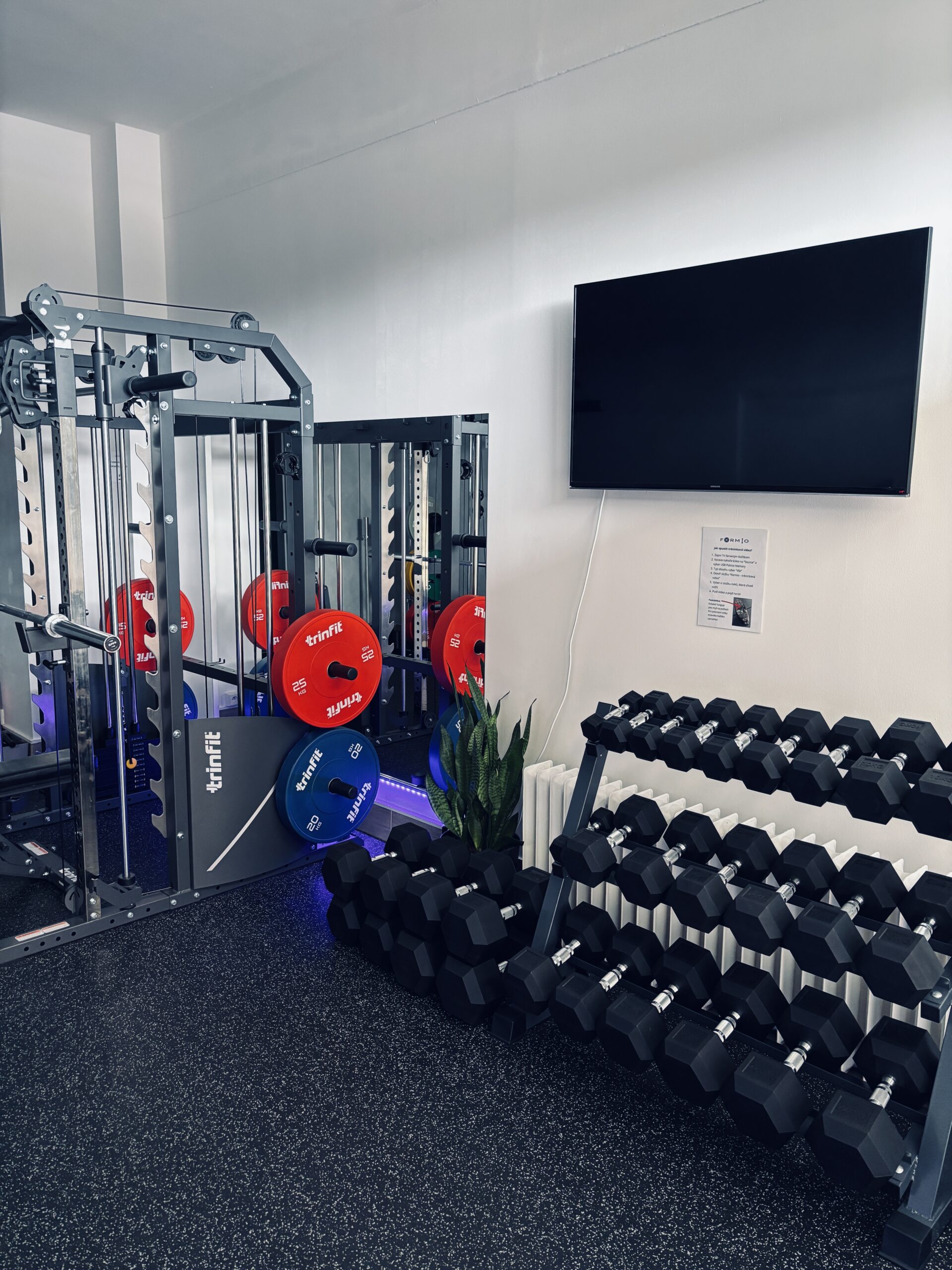 Soukromé fitness Formio